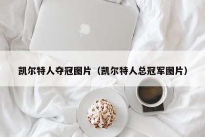 凯尔特人夺冠图片（凯尔特人总冠军图片）